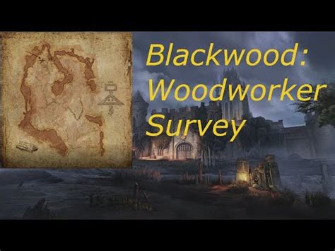 Woodworker Survey Blackwood YouTube