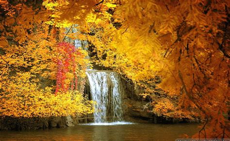 1920x1080px 1080p Free Download Amazing Autumn Waterfalls Forest