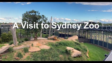 Sydney Zoo Western Sydney Australia Youtube