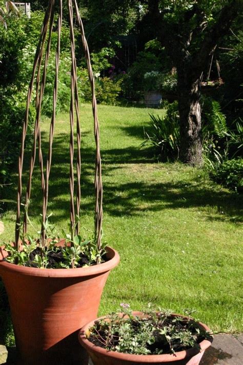 Trellis could cost upto $30 per piece. Willow canes (With images) | Urban garden, Garden trellis ...