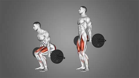 Barbell Hack Squat 4 Major Benefits And Muscles Worked Inspire Us