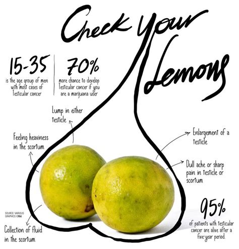 A painless lump or swelling on either testicle. Testicular Cancer: Causes And Symptoms(pics) - Health ...