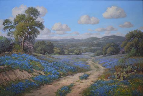 Eric Harrison Hill Country Springtime Texas Bluebonnets 2370
