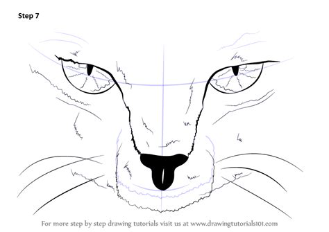Learn How To Draw Scary Cat Eyes Other Animals Step By