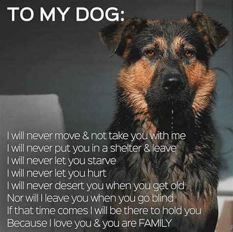 A Letter To My Dog I Love Dogs Puppy Love Animals And Pets Cute