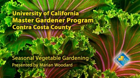 Uc Master Gardeners—seasonal Vegetable Gardening Webinar Youtube