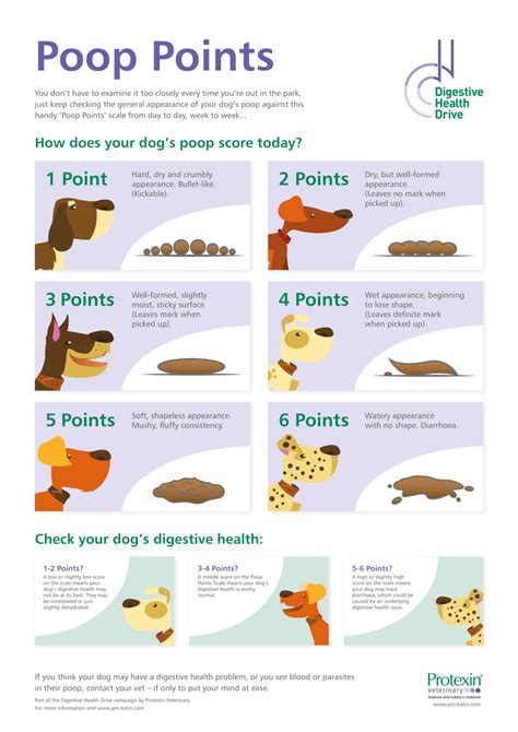 Dog Poop Examination Chart Digestive Health Drive Download Printable