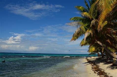 10 Best Belize Tours And Trips 2024 Tourradar