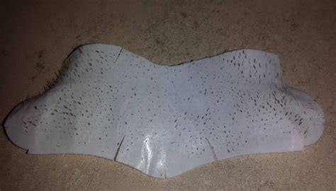 17 Oddly Satisfying Pictures Of Used Pore Strips