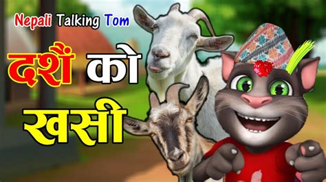 Dashain Ko Khasi दशैं को खसी Comedy Video Nepali Talking Tom Youtube