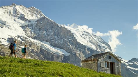 Kleine Scheidegg Eiger Mönch Jungfrau Jungfrauch