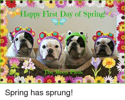 Happy First Day Of Spring Spring Has Sprung Meme On Meme