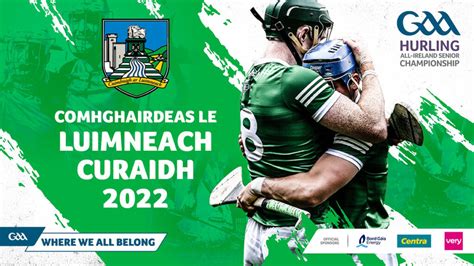 2022 Gaa Hurling All Ireland Senior Championship Final Limerick 1 31