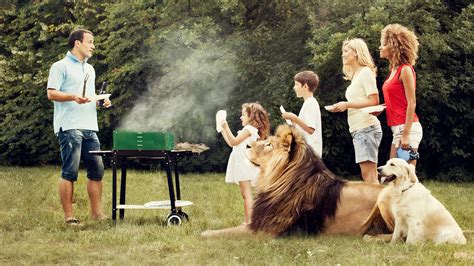 Check individual attractions for hours and availability here. How marvelous! Ideabar wins major award for lion country ...
