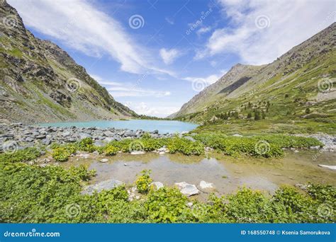 Kuiguk Lake Altai Mountains Russian Landscape Stock Photo Image Of