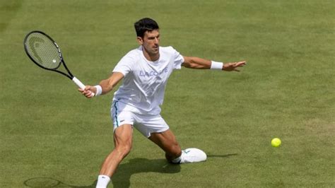 The other three combined have one prior major semifinal appearance in total. Wimbledon 2021: Djokovic has eyes on major mark, Golden ...
