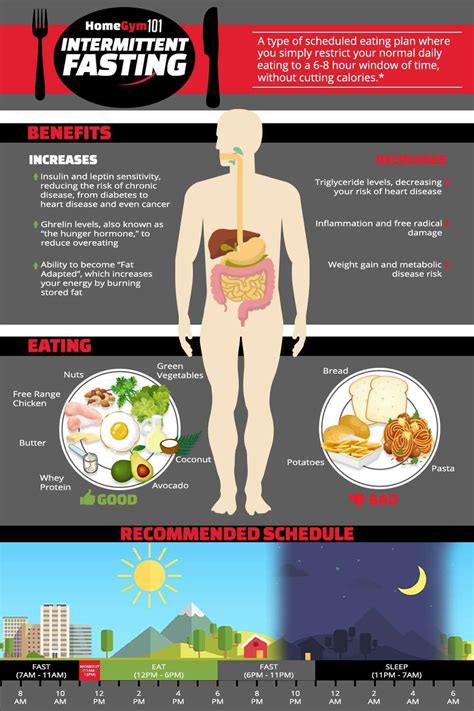 Intermittent Fasting 101 Beginners Guide