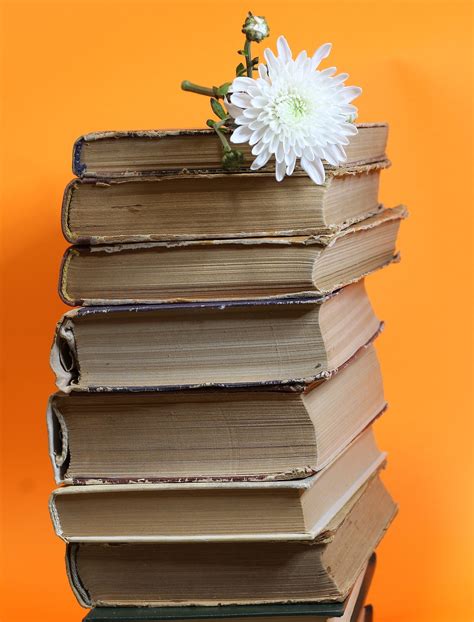 Check spelling or type a new query. كتاب شرح حديث جبريل عليه السلام في الإسلام والإيمان ...