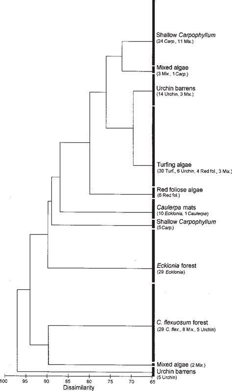 Dendrogram from hierarchical cluster analysis of ...