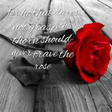 Be sure to bookmark and share your favorites! Rose Thorn Quotes. QuotesGram