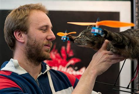 The Web Is Full Of WTF Taxidermied Cat Turned Into QuadCopter OhGizmo