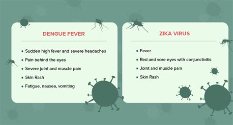 Rentokil Pest Eight Facts Of Dengue And Mosquito Control