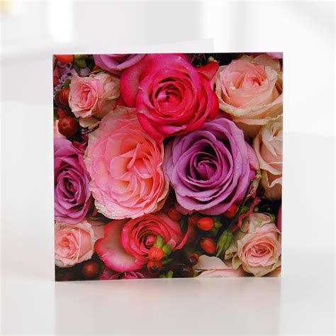 Pink Rose Greetings Card Sweeneys Florist