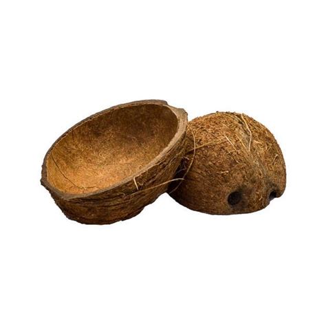 Coconut Shell Half Etsy