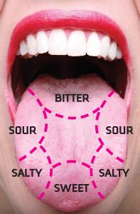 Some are located on the insides of your cheeks. Dental Mnemonics: Location of Taste Buds