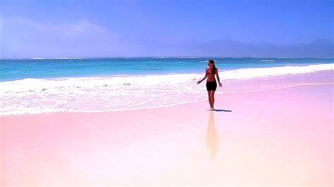Pink Sand Beaches In The Bahamas Pink Choices