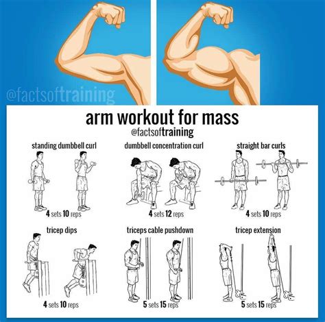Arm Workout To Build Muscle Mass Posted By