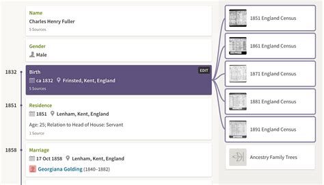 Olive Tree Genealogy Blog Ancestry Working On Improved Website