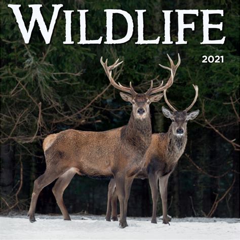 Wildlife 2021 Calendar