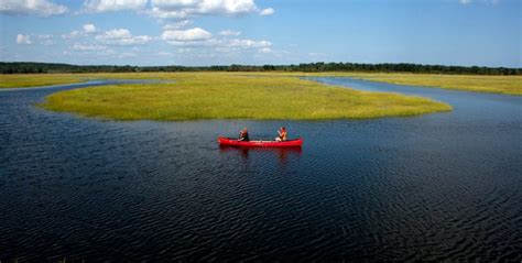 Scarborough Marsh Audubon Center Maine Audubon