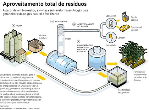 Matriz Energ Tica E O Impacto Ambiental Biog S Tem Potencial Equivalente A Da Energia Do Pa S