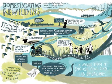 Domesticating Rewilding Green Futures Network