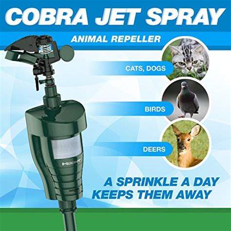 How to repel raccoons but not cats? Hoont8482; Cobra Powerful Outdoor Water Jet Blaster Animal ...