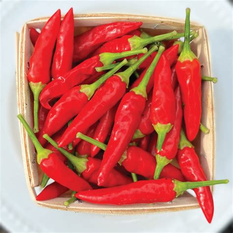 Super Chili F1 Pepper Seeds Urban Farmer
