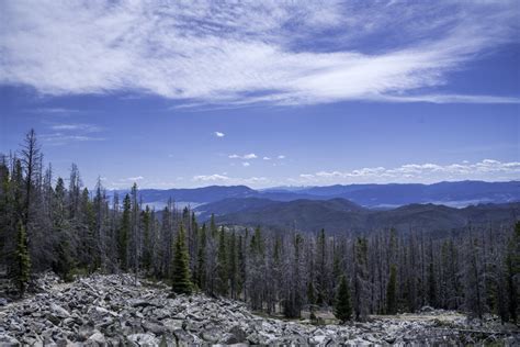 Mountaintop Landscape With Pine Trees Under The Sky In The Elkhorn