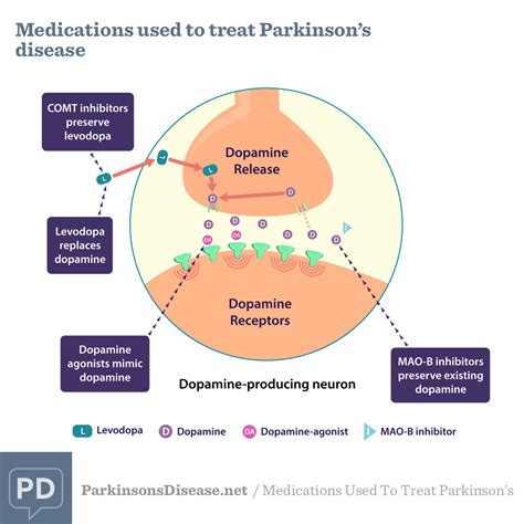 The hinz protocol is most superior. Medications for Parkinson's Disease