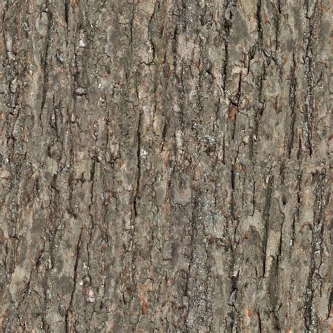 Wood Tree Bark Seamless Texture Ceiling Texture Seamless Textures