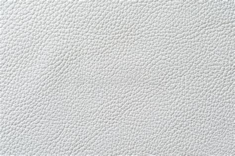 Closeup Of Seamless White Leather Texture Stock Image Image Of Animal