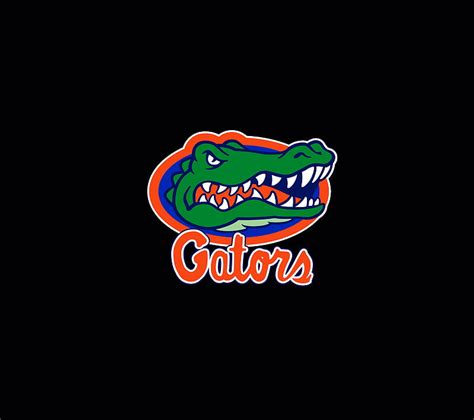 1920x1080px 1080p Free Download Gator Logo On Black Florida