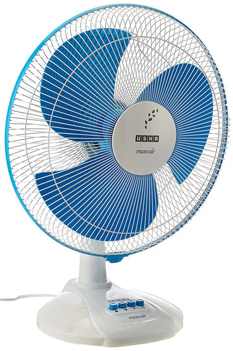 The Meaning And Symbolism Of The Word Fan