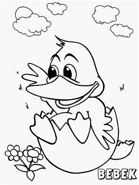 Mewarnai gambar ayam mewarnai gambar. Pin on mewarnai