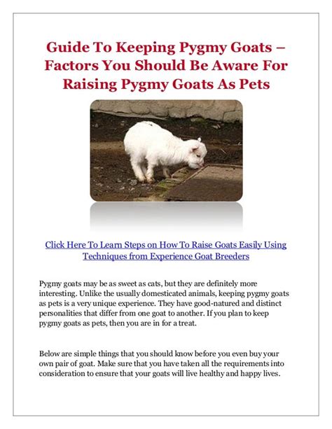 Guide To Keeping Pygmy Goats Factors You Should Be Aware For Raisin