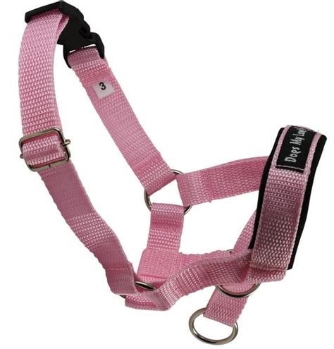 Dog Head Collar Halter Pink 5 Sizes Small 65 825 Snout