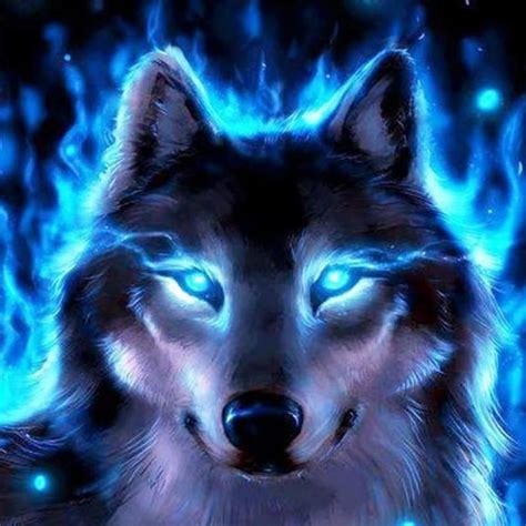 10 Top Cool Pictures Of Wolfs Full Hd 1080p For Pc