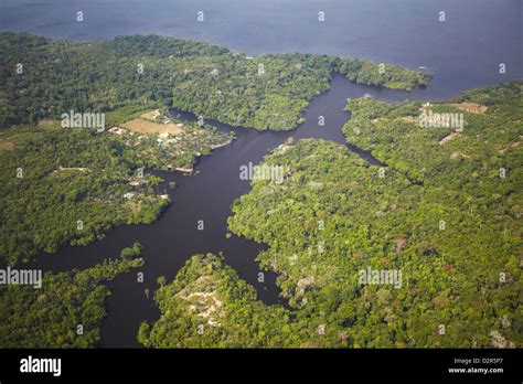 Aerial View Of Amazon Rainforest And Rio Negro Manaus Amazonas