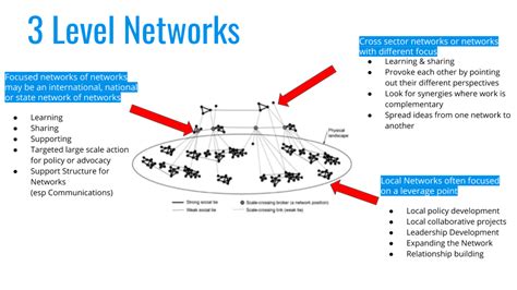 3 Level Networks Networkweaver
